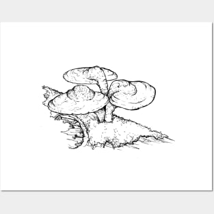 Reishi Mushroom Posters and Art